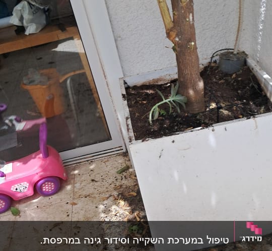 עץ קטן בעציץ לבן עם אדמה וענפים